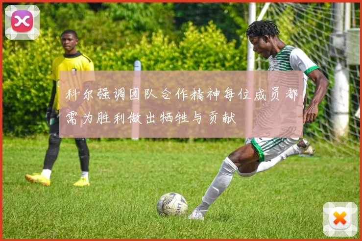 科尔强调团队合作精神每位成员都需为胜利做出牺牲与贡献