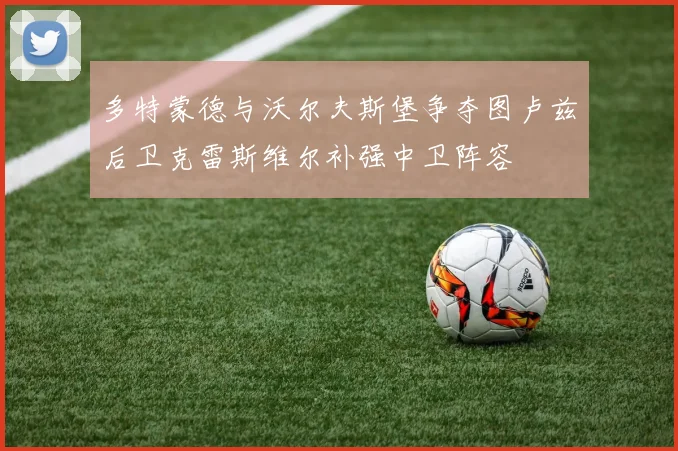 多特蒙德与沃尔夫斯堡争夺图卢兹后卫克雷斯维尔补强中卫阵容